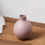 Minimalist Morandi Ceramic Vase Unique