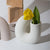 Minimalist Style Ceramic Vase Unique