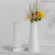 Modern Minimalism Style Flower Vase Unique