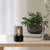 Candle Light Ultrasonic Aroma Humidifier for Healthier Home Unique