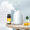 6x10ml Aromatherapy Essential Oil Kit for Aroma Diffuser, Humidifier Unique 